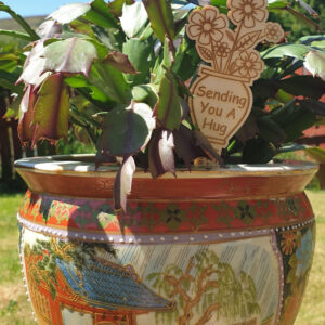 Personalised Vase Of Flowers Large In Pot